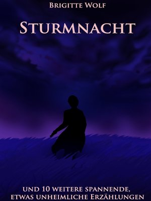 cover image of Sturmnacht